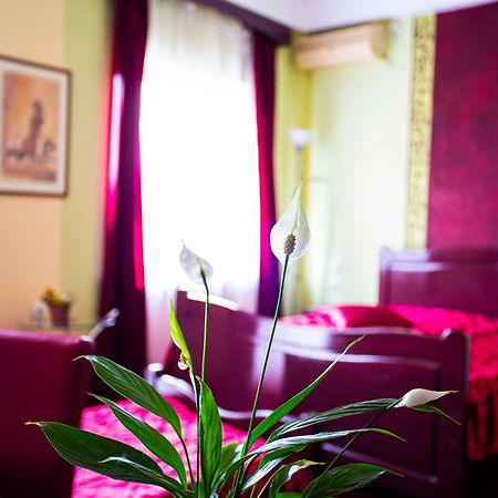 B&B Vila Tamaris ซาเยชาร์ ภายนอก รูปภาพ