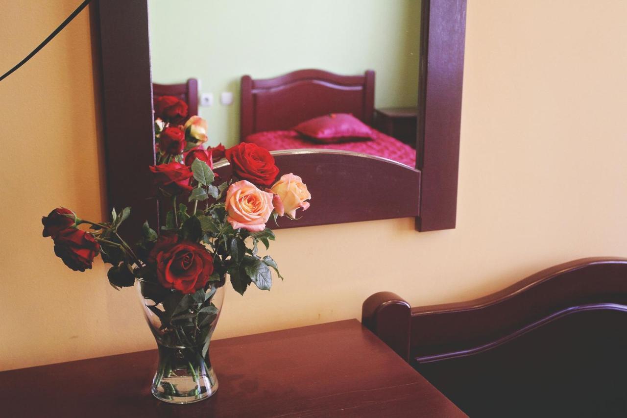 B&B Vila Tamaris ซาเยชาร์ ภายนอก รูปภาพ
