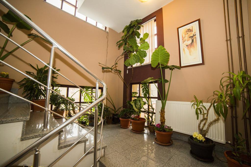B&B Vila Tamaris ซาเยชาร์ ภายนอก รูปภาพ