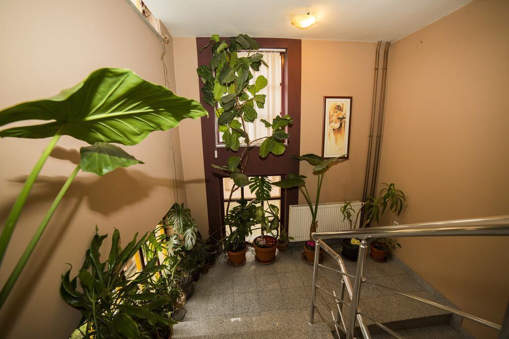 B&B Vila Tamaris ซาเยชาร์ ภายนอก รูปภาพ